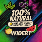 WIDERT Extra Strength Lung Cleanse Herbal Air Diffuser Pen - Mint
